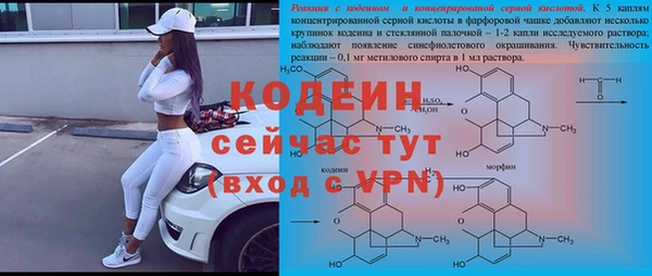 хмурый Горняк