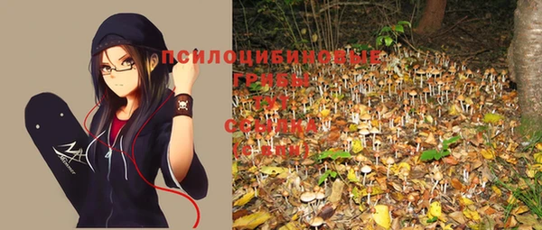 хмурый Горняк