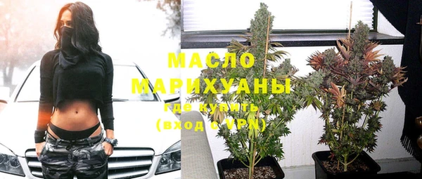 хмурый Горняк