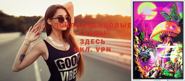хмурый Горняк