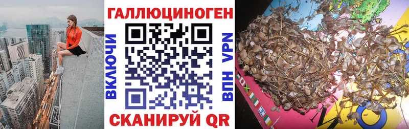 хочу наркоту  Железногорск  Псилоцибиновые грибы MAGIC MUSHROOMS 